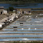 Oleander - Oleander מלון