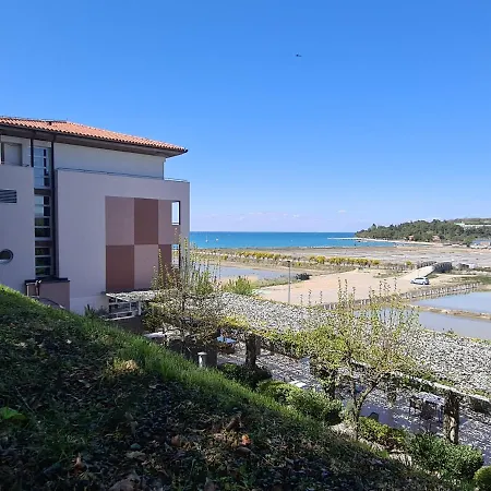 Oleander - Oleander 3*