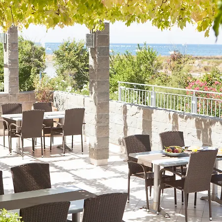 Oleander - Oleander 3*