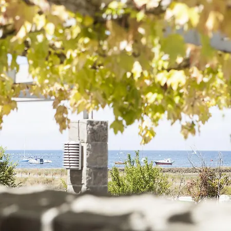 Hotel Oleander - Oleander Strunjan