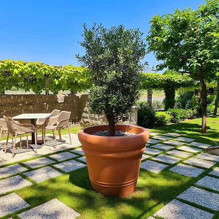 Oleander - Oleander 3*