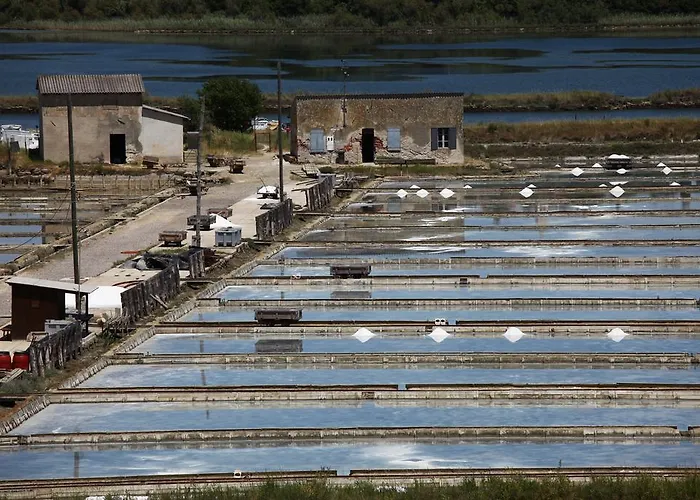 Oleander - Oleander فندق