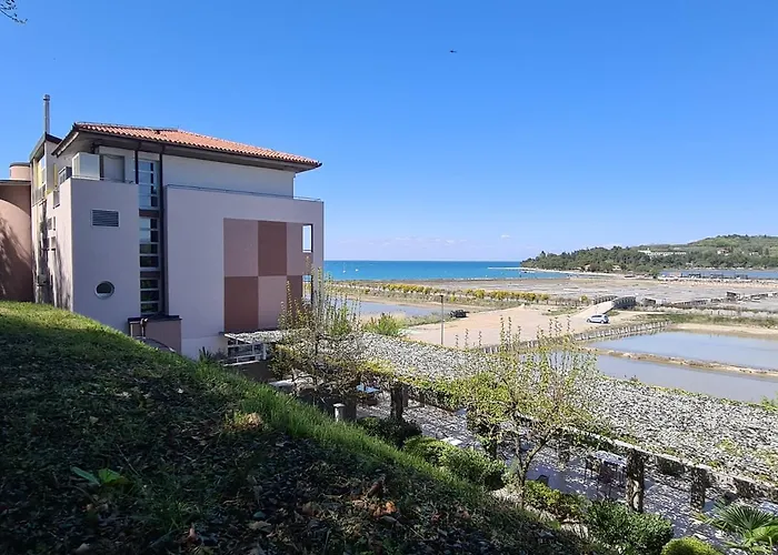 Oleander - Oleander 3*